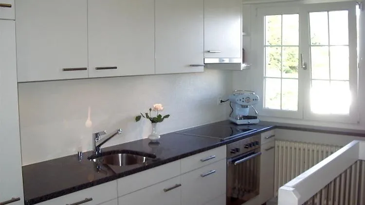3½ ZIMMER-MAISONETTEWOHNUNG IN LIESTAL (BL), MÖBLIERT