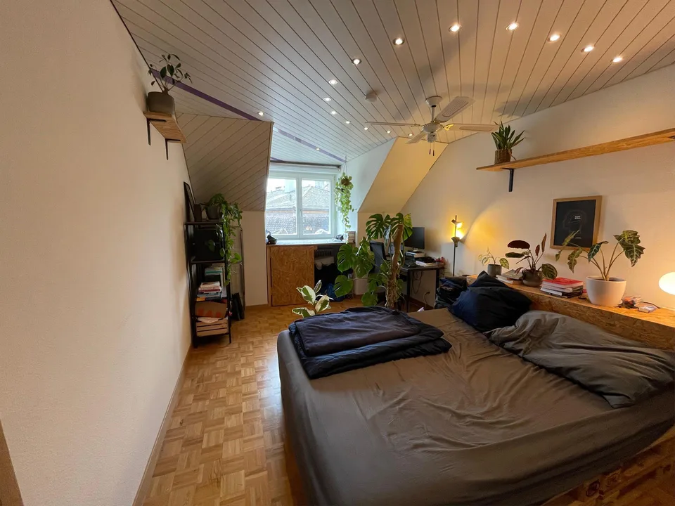 Bright 3-room apartment in the Bern Länggasse quarter
