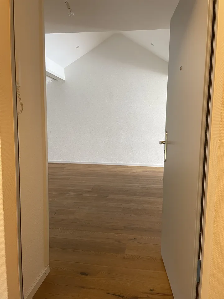 3.5 locali 89m2 Sottolocazione: Posizione ideale, Terrazza enorme