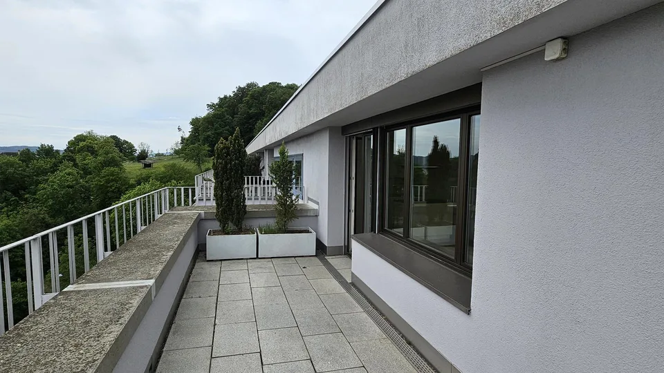 Gekühlte moderne 3.5-Zimmer-Attikawohnung mit Blick über Stadt – foto 9 di 19