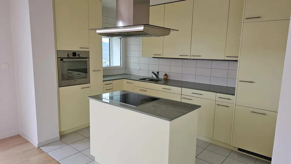 Appartement attique refroidi de 3,5 pièces avec vue sur Zurich à Bucheggplatz