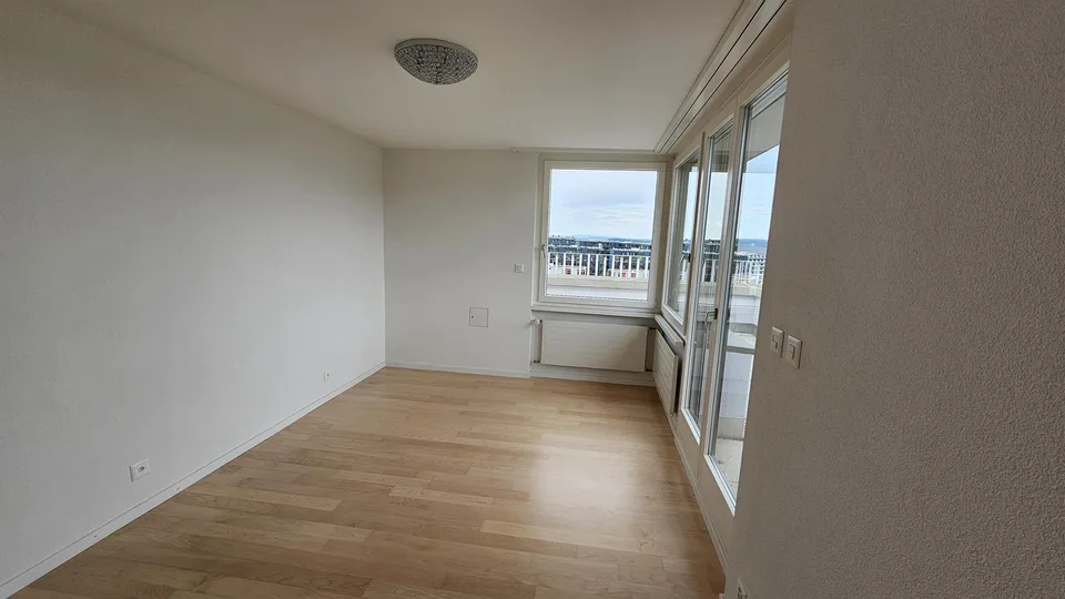 Gekühlte moderne 3.5-Zimmer-Attikawohnung mit Blick über Stadt – foto 17 di 19