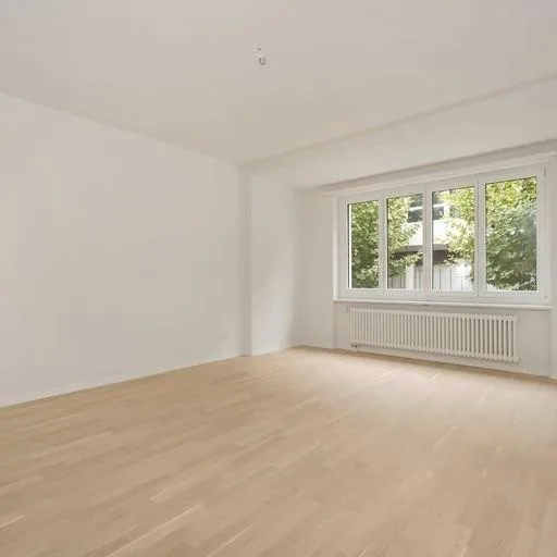 Sanierte 4.5-ZW mit Balkon und Terrasse im Zentrum von Biel