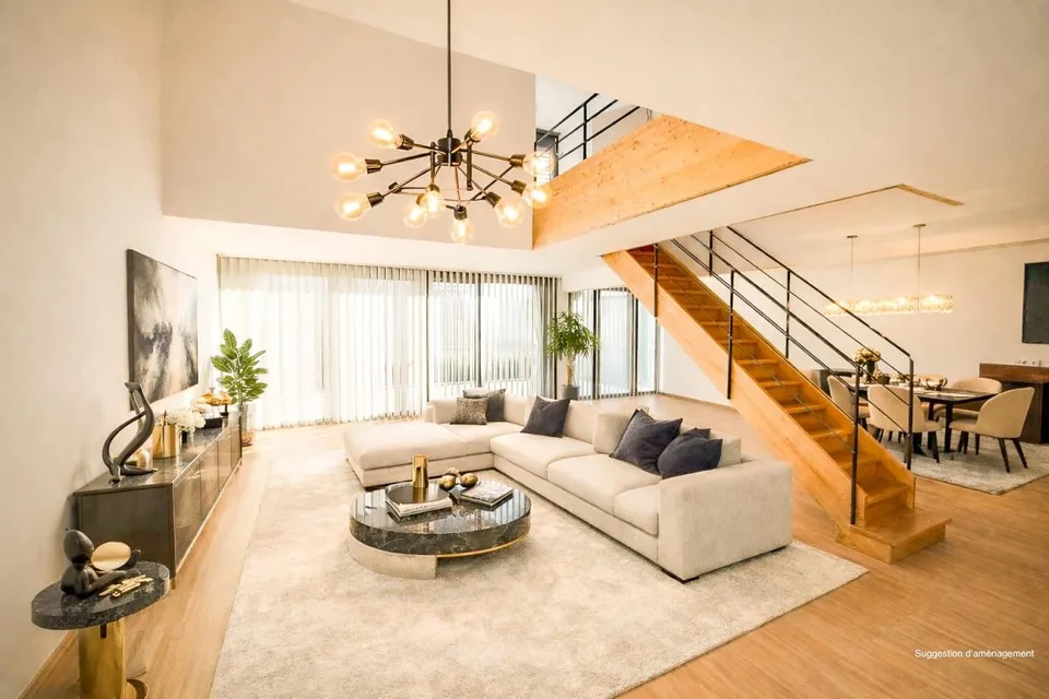 Loft-Penthouse et son Rooftop à 360°, à la frontière en France