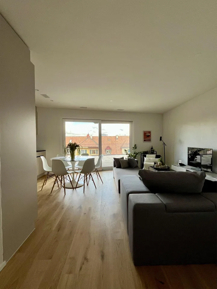 Edificio nuovo (2025): appartamento maisonette 5,5 locali con grande terrazza e vista su Basilea