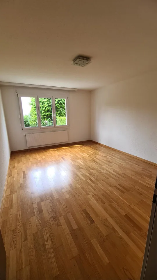 Neusanierte 2.5 Zimmer-Wohnung in Altstätten