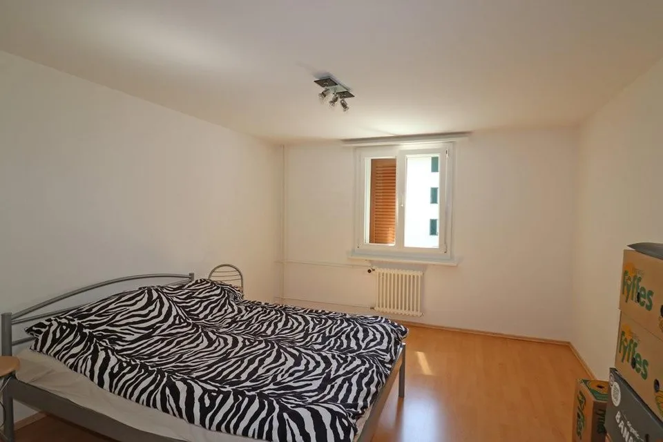 Helle 3 Zimmer Wohnung mit grossem Balkon
