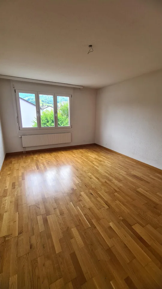 Neusanierte 2.5 Zimmer-Wohnung in Altstätten