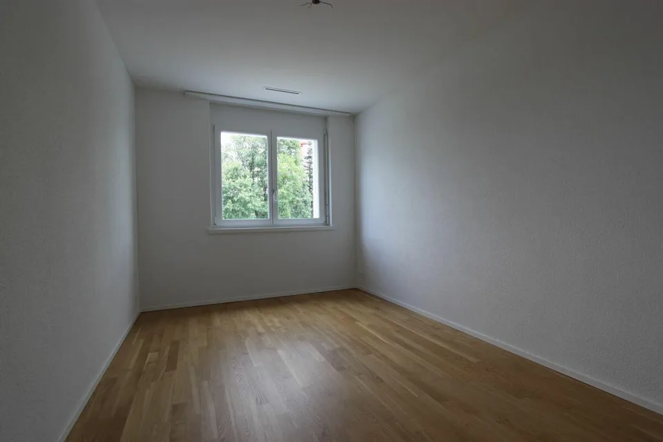 Blick ins Grüne