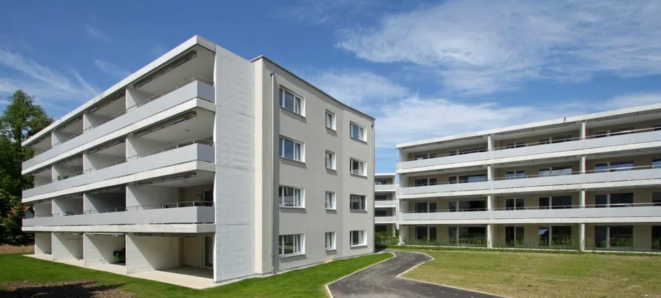 Blick ins Grüne