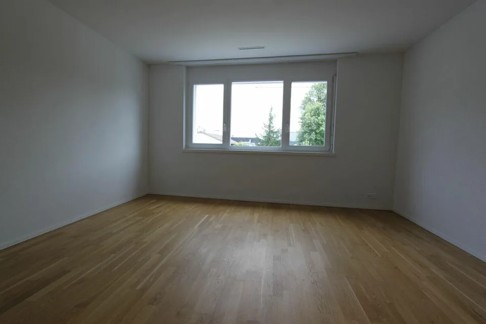 Blick ins Grüne