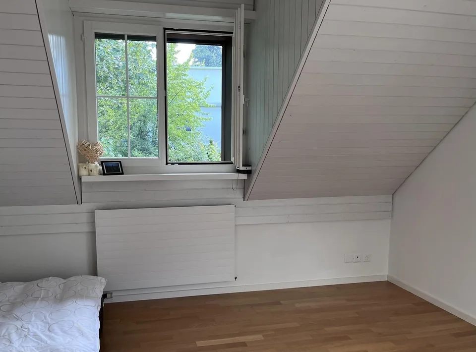 2 Bedroom Apartment, 8708 Männedorf