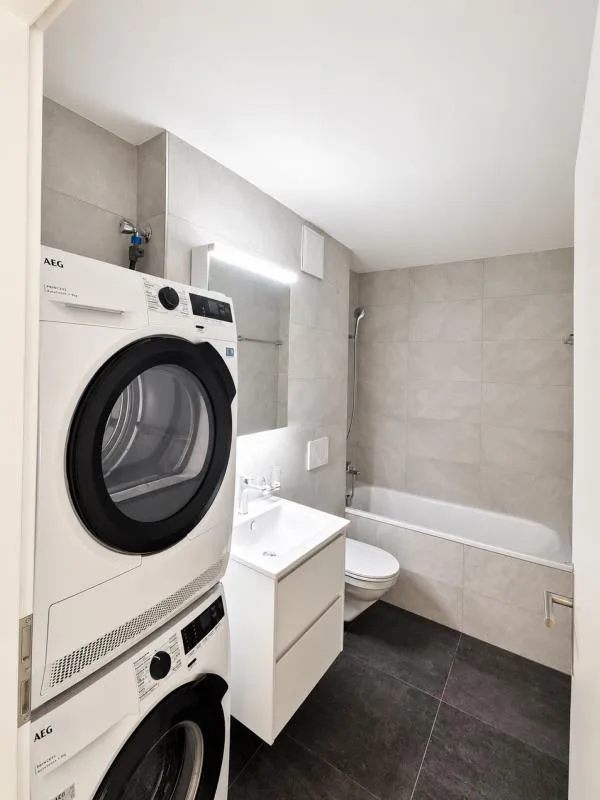 neu renovierte 1.5 Zimmerwohnung