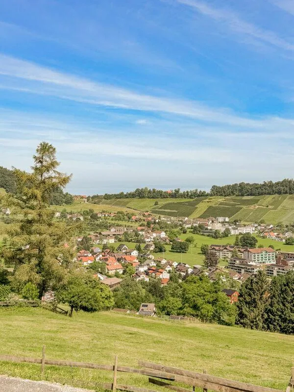 HAUFEN 871 - Appartamento di 3,5 locali al piano terra con vista panoramica