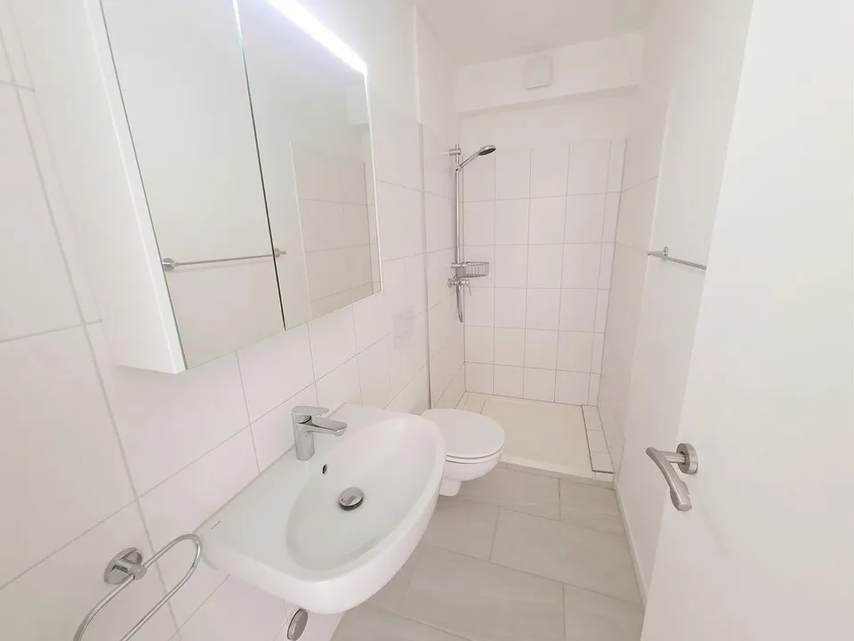 Geräumige 4.5-Zimmer Attikawohnung mit Aussicht in Basel zur Miete – Foto 7 von 13