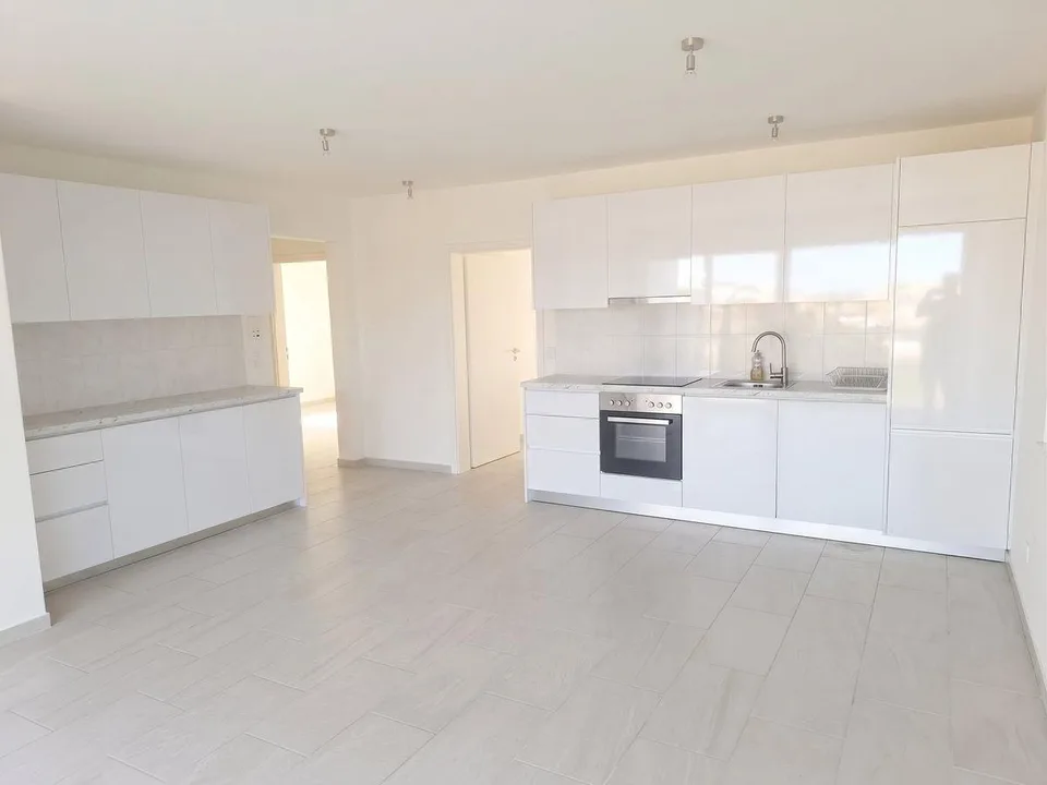 Helle 5-Zimmer Attikawohnung mit Blick in Basel zur Miete