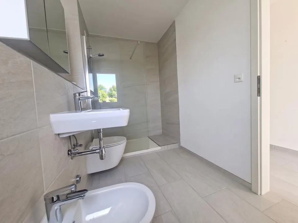 Geräumige 4.5-Zimmer Attikawohnung mit Aussicht in Basel zur Miete – Foto 6 von 13