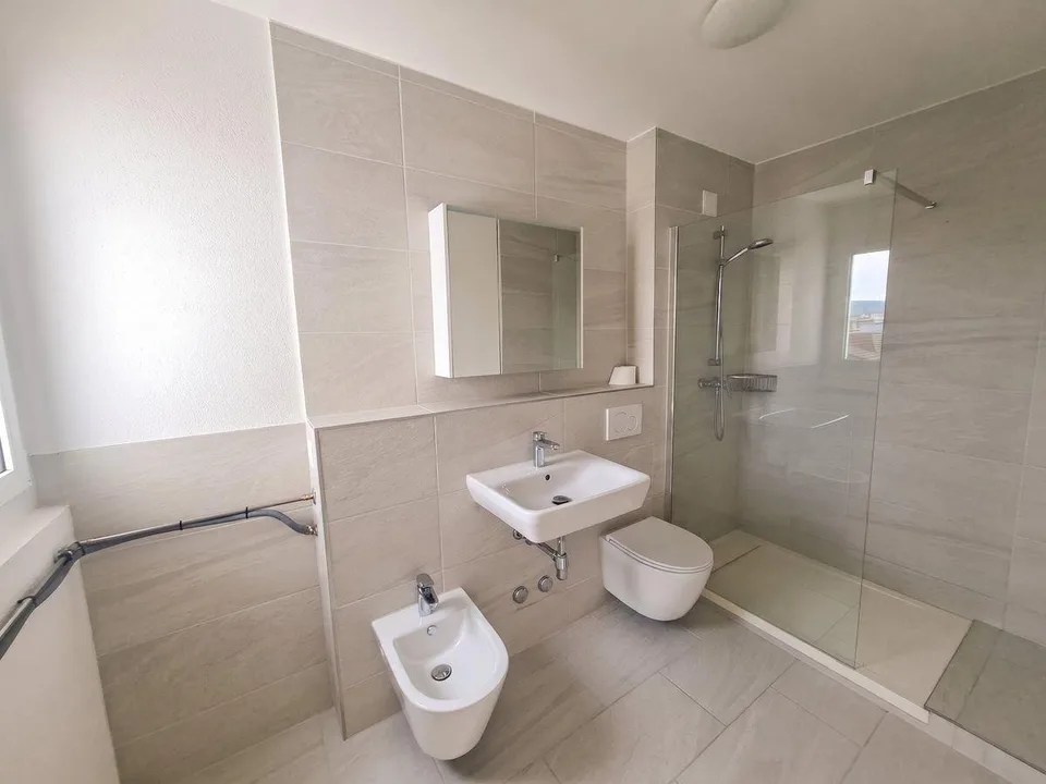 Helle 5-Zimmer Attikawohnung mit Blick in Basel zur Miete