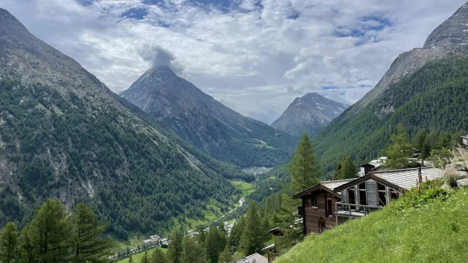 Geräumige 2.5 Zimmerwohnung mit Ostbalkon in der sonnigen Wildi. Ve...