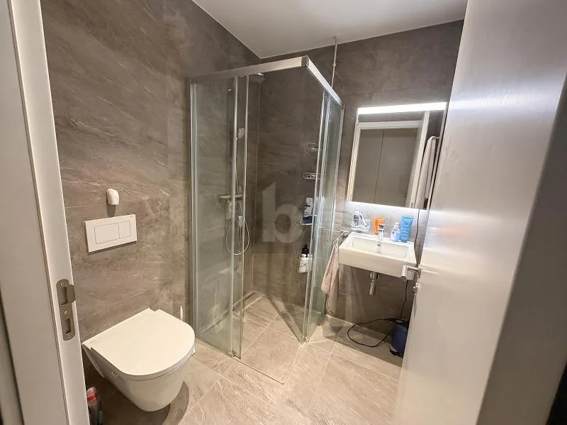 ELEGANT, MODERN UND MINERGIE