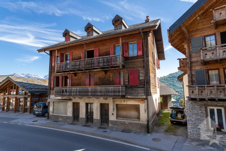 Maison villageoise à rénover, 10 pièces + locaux commerciaux, 400 m2