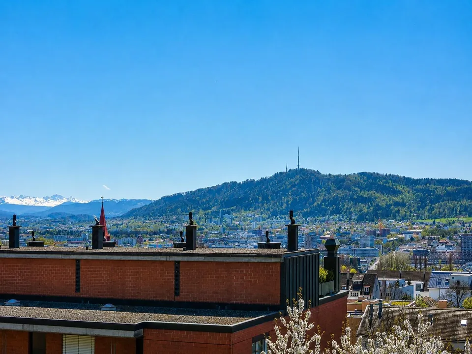 Attikawohnung mit grosser Terrasse und sensationeller Weitsicht – Foto 11 von 11