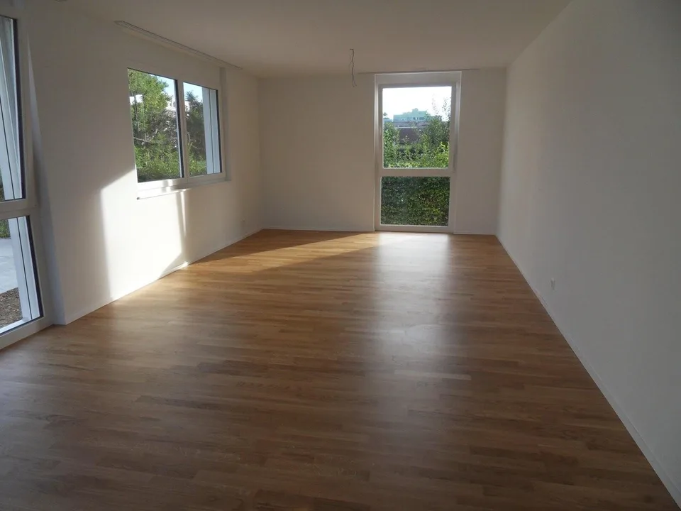 Modern, accogliente, Allschwil!