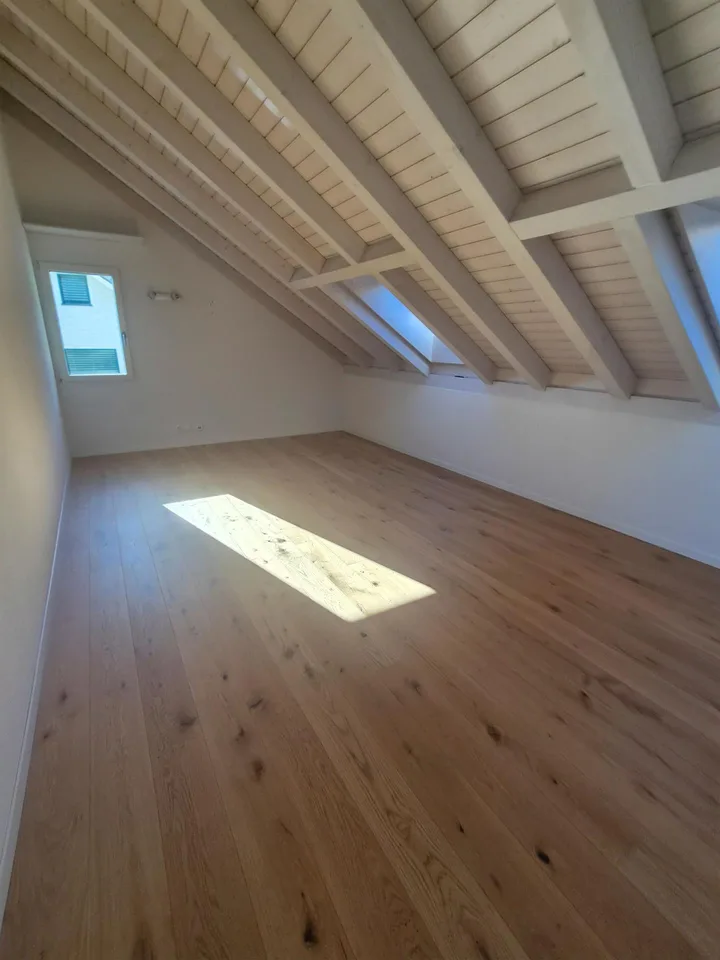 Exklusive Attika-Maisonettewohnung mit traumhaftem Seeblick