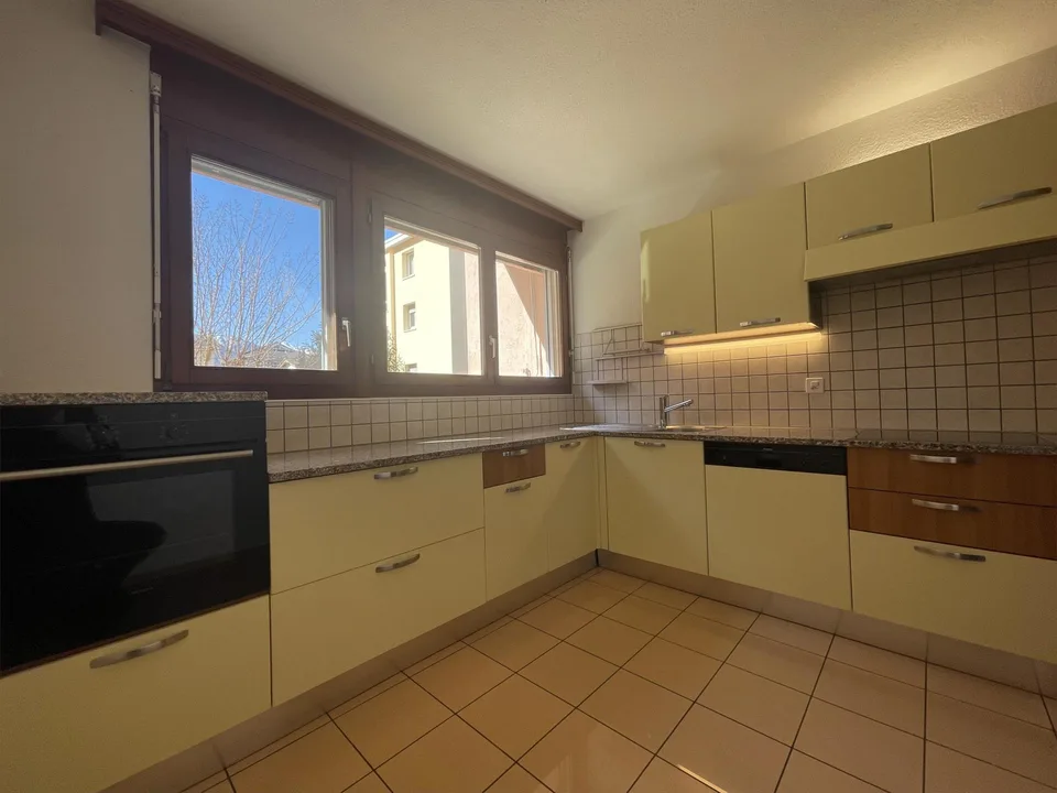 AMPIO APPARTAMENTO 2.5 RIATTATO CON GIARDINO