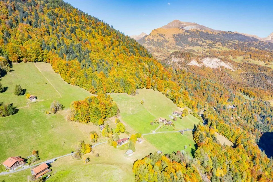 Idyllic mountain hut for sale – photo 14 of 15