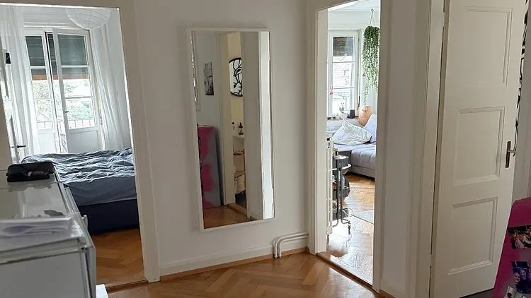 2 ZI-WOHNUNG IN BASEL - ST. JOHANN, MÖBLIERT, TEMPORÄR