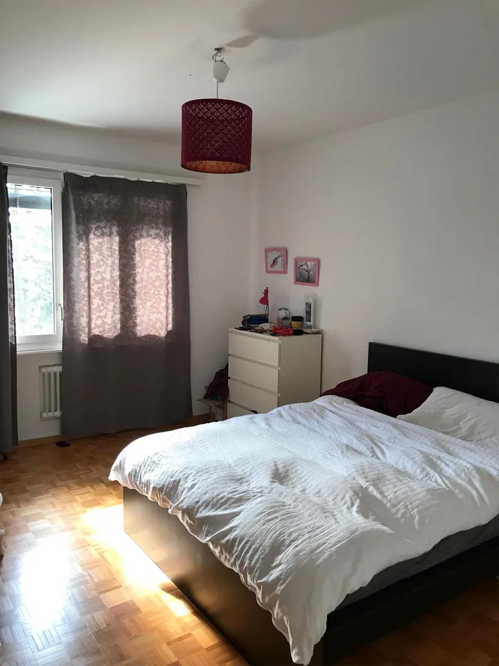 Bello appartamento in affitto in un quartiere tranquillo e verde