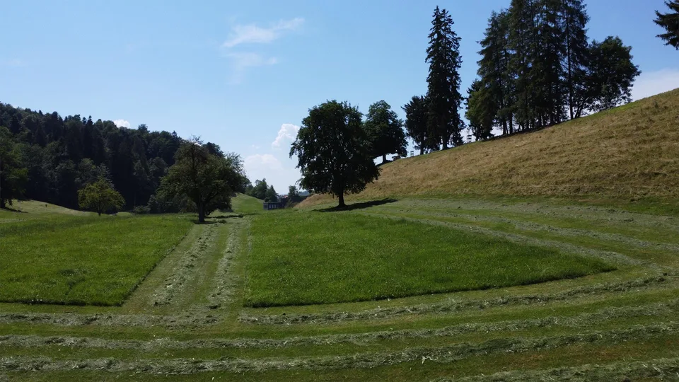 Wohn-Oase angrenzend an Naturgebiet im Osten der Stadt St. Gallen