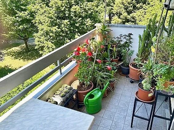3 1/2-Zimmer-Wohnung im 3. OG mit Balkon und Aussicht / apparta... – Foto 15 von 16
