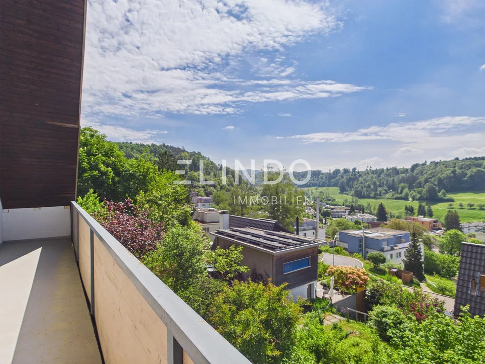 Weitblick & Sonne - Ihr Traumhaus in Birmensdorf ZH