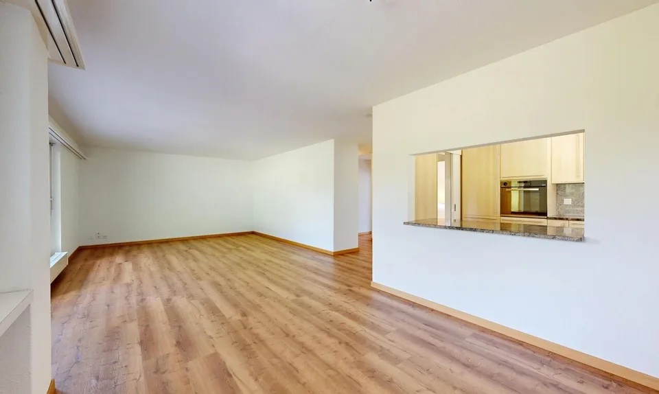 5.5 Room Apartment with Impressive Sun Terrace in Turgi