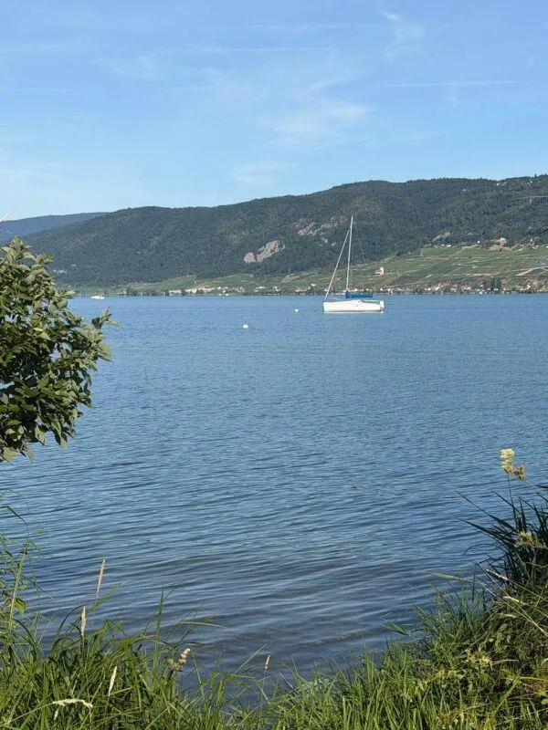 Grosse Baulandparzelle am Bielersee mit Potenzial. Erst- und Zweitw... – photo 21 sur 22