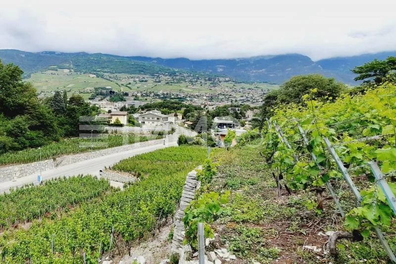 Exclusivité ImmoSky : Terrain à constuire avec vue unique