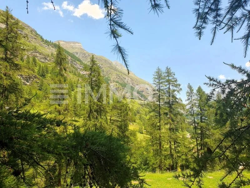 Bauland neben der Skipiste