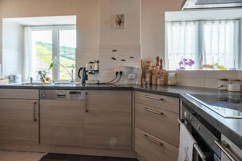 Appartement en attique avec vue lac et vignes