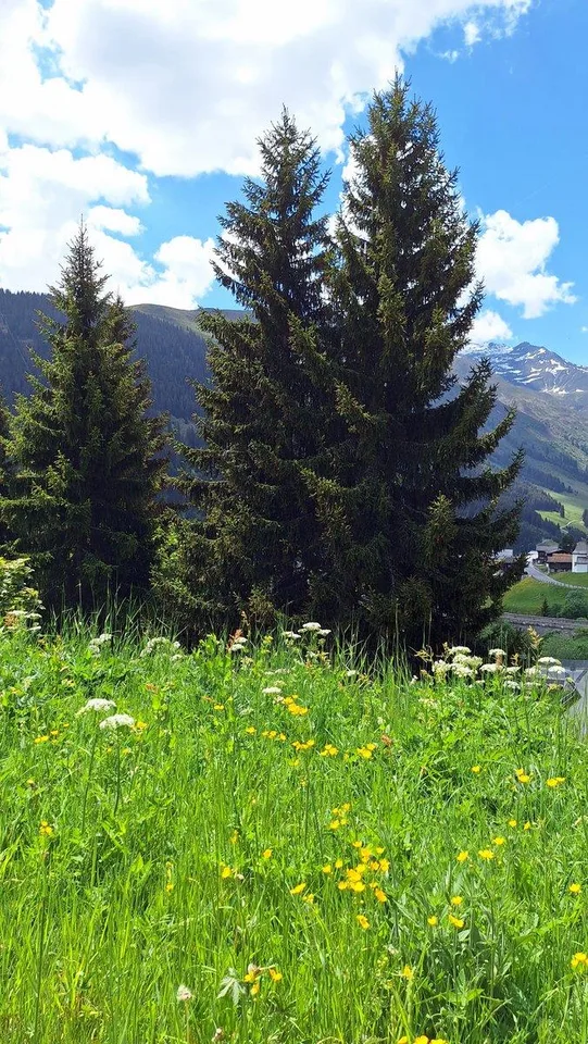 Ferienhaus mit 3 Wohnungen – foto 29 di 29
