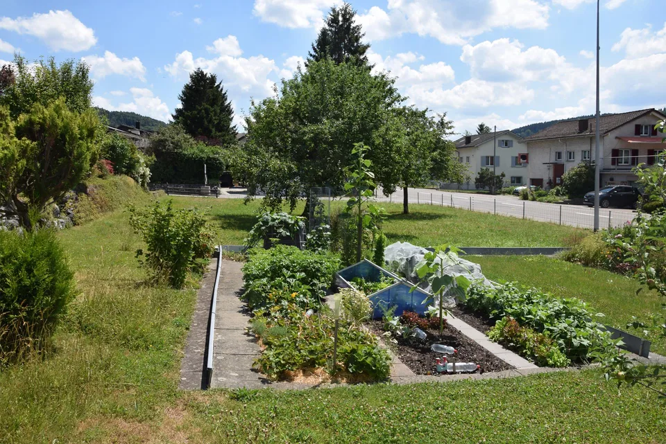 Bauland in Guntershausen
