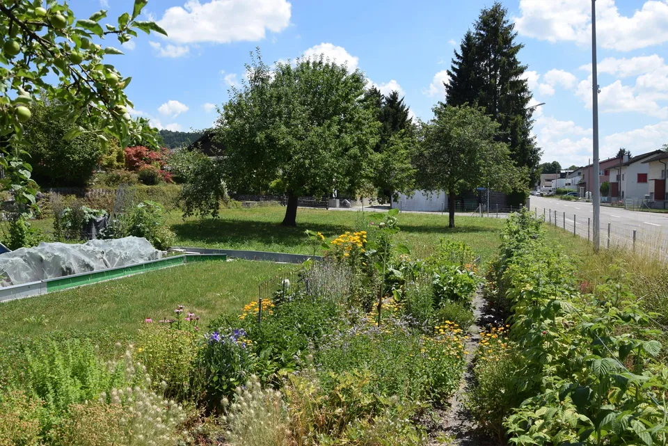 Bauland in Guntershausen