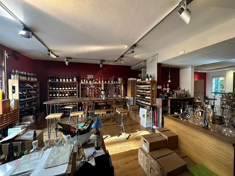 CAVE À VIN PRESTIGIEUX, QUARTIER CHARMANT, CAROUGE