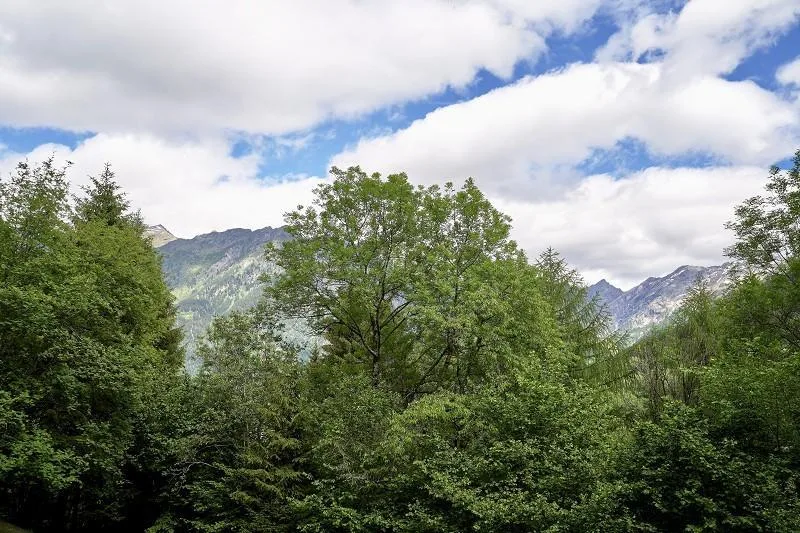 2-Zimmer-Rustico an Alleinlage mit Panorama-Aussicht und Umschwung ...