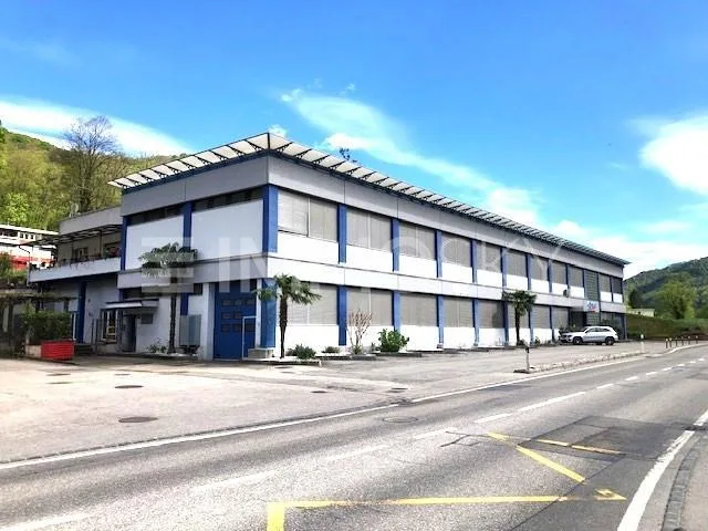 L'investimento interessante dal reddito garantito