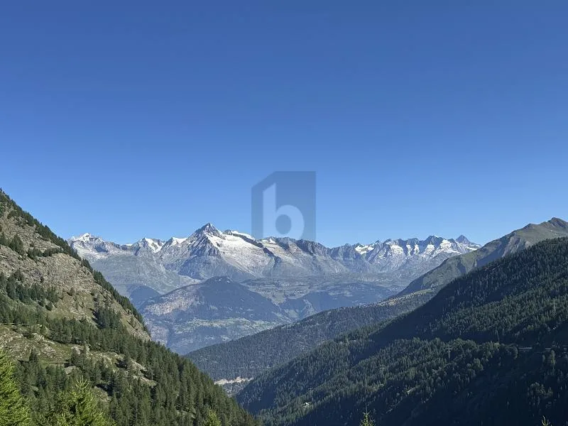 OPPORTUNITÉ HÔTELIÈRE UNIQUE AU CUR DES ALPES