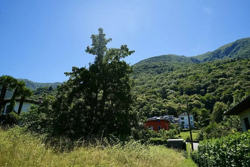 Bauland mit herrlichem Panorama-Seeblick / terreno edificabile c... – Foto 7 von 17