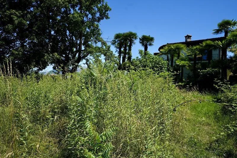 Bauland mit herrlichem Panorama-Seeblick / terreno edificabile c... – Foto 11 von 17