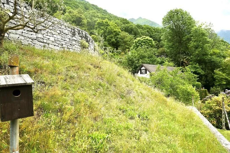 Bauland von 1001 m2 an ruhiger, sonniger Aussichtslage / terreno ed... – foto 8 di 15
